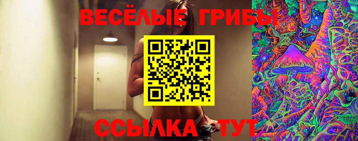 Троицк  Галлюциногенные грибы Psilocybine cubensis  Вход с VPN 