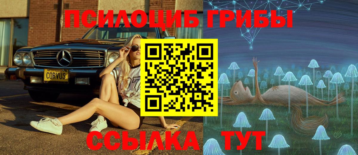 Псилоцибиновые грибы Cubensis Троицк